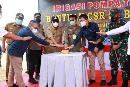 Gubernur Lampung dan Menteri Pertanian Resmikan Irigasi Pompa Tenaga Surya di Tegineneng