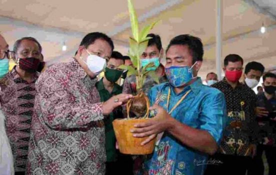 Gubernur Arinal Buka Semarak Batik Lampung dan Tanaman Hias 2020