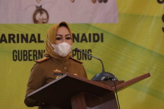 Soal Smart Village, Ini Kata Kadis PMDT Lampung