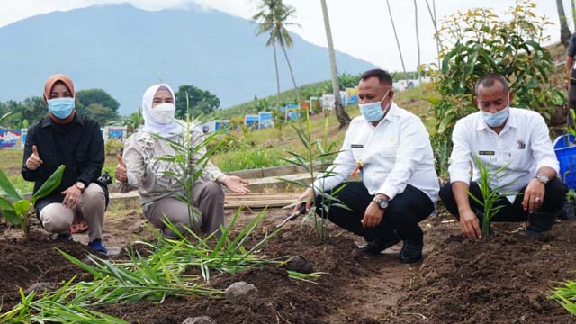 Bupati Lamsel Tanam 150 Jenis Tanaman Obat untuk Pengembangan Kebun Edukasi