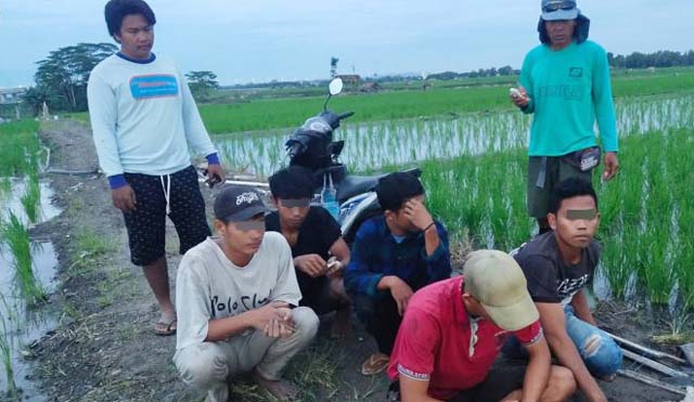 Beraksi di Sidomulyo Lamsel, Komplotan Pencuri Kabel Listrik PLN Diringkus Warga
