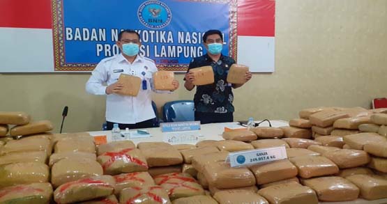 Kasus 248 Ganja Jaringan Napi Lapas Rajabasa, BNN Tembak Tiga Kurir