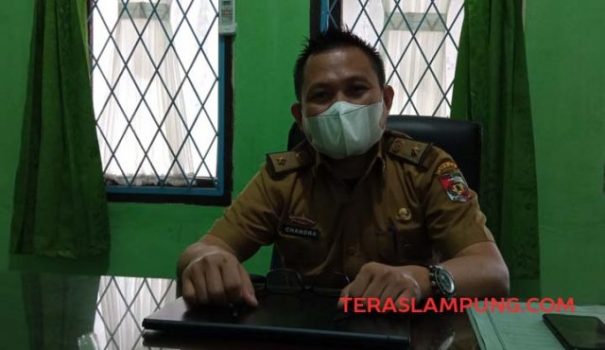 Zaman Susah, Pemkab Lampung Utara akan Beli Tujuh Mobil Dinas Baru Senilai Rp2,9 M