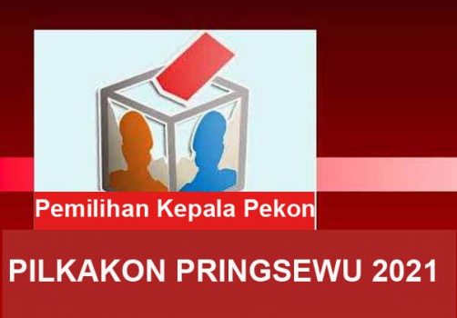 Inilah Hasil Lengkap Pemilihan Kepala Pekon Serentak di Kabupaten Pringsewu 2021