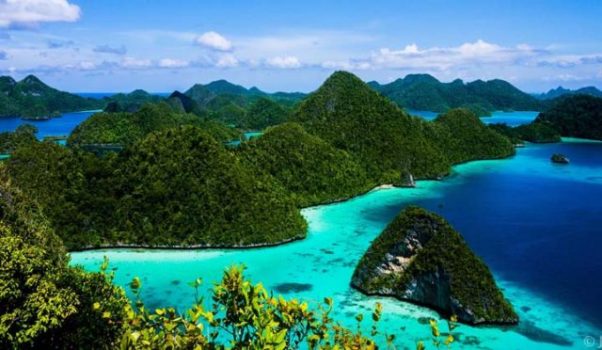 KM Sabuk Nusantara Kandas di Raja Ampat, KKP Kumpulkan Bukti Kerusakan Terumbu Karang