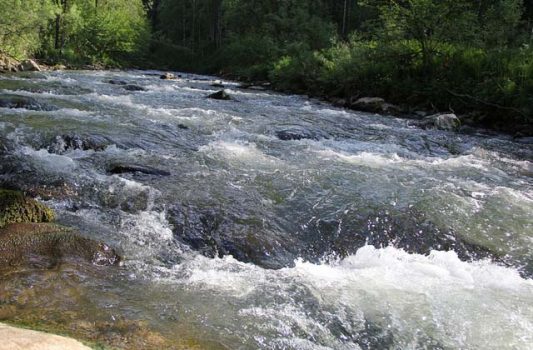 DLH Lampung Utara Pastikan Sungai Mangulun Aman dari Limbah Pabrik