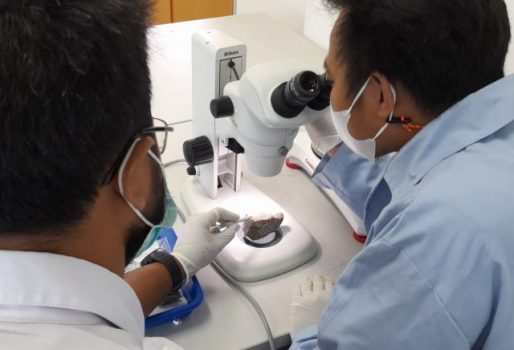 Peneliti ITERA Usulkan ‘Astomulyo Meteorite’ Dimanfaatkan untuk Kepentingan Ilmu Pengetahuan