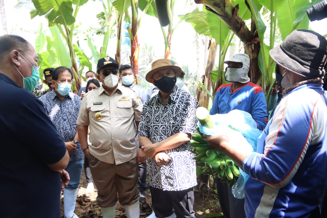 Menteri Koperasi & UMKM dan Menteri Agraria Kunjungi Kebun Pisang Kemitraan di Tanggamus