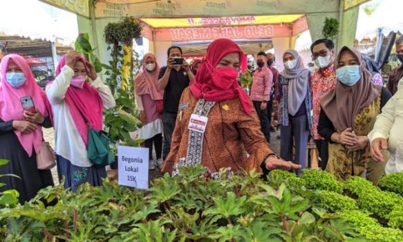 Bazar Bunga Hias Digelar di Halaman Kantor Radar Lampung