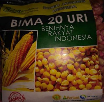 Kronologi Kasus Dugaan Korupsi Pengadaan Benih Jagung Rp140 Miliar di Dinas Tanaman Pangan dan Holtikultura Lampung