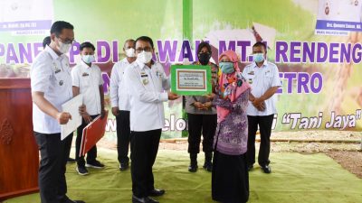 Kelompok Tani dan Kelompok Peternak di Kota Metro Terima Bantuan