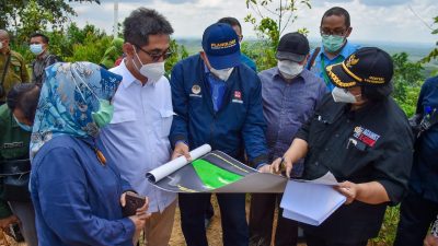 Menteri LHK Minta Penghijauan Kawasan Calon Ibu Kota Negara Dipercepat