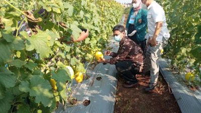 Ngabuburit Nyaman-Murah Meriah di Kebun Agrowisata Unila