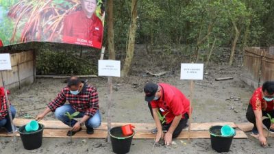 Bupati Nanang Bersama Ketua Komisi IV DPR RI Tanam Mangrove