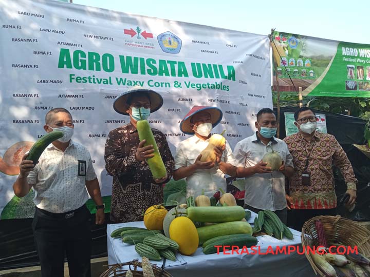 Wakil Rektor Unila Dr. Asep Sukohar dan para petinggi Unila menunjukkan hasil panen di Kebun Agro Wisata Unila, Kamis (22/4/2021).