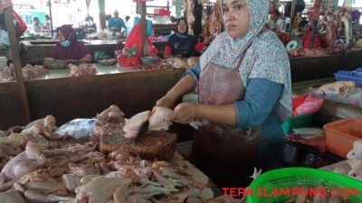 Jelang Ramadan, Harga Ayam Potong di Bandarlampung Naik Hingga Rp10 Ribu