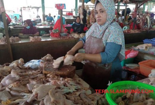Jelang Ramadan, Harga Ayam Potong di Bandarlampung Naik Hingga Rp10 Ribu