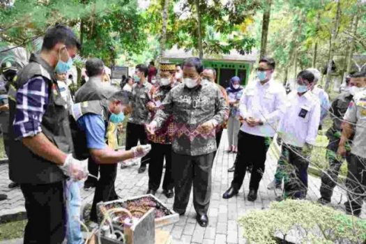 Gubernur Lampung Resmikan Pusat Inkubasi Tanaman Nusantara di Tahura Wan Abdul Rachman