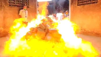 BNNP Lampung Bakar Barang Bukti 247,5 Kg Ganja dan 5,22 Kg Sabu-Sabu