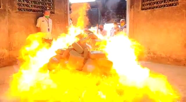 BNNP Lampung Bakar Barang Bukti 247,5 Kg Ganja dan 5,22 Kg Sabu-Sabu 