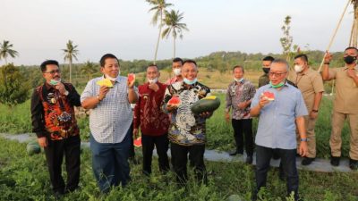 Gubernur Lampung Cicipi Manisnya Buah Semangka di Kebun Edukasi Lamsel