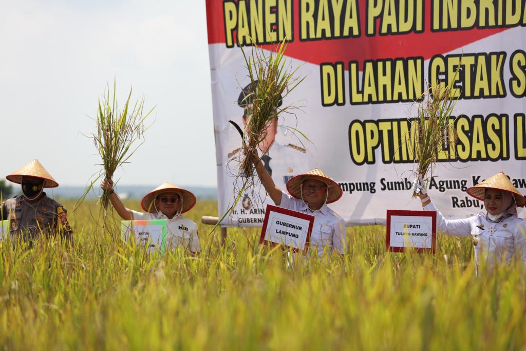 Implementasi Kartu Petani Berjaya di Tulangbawang, Gubernur Lampung Berharap Petani Makin Mudah Bercocok Tanam