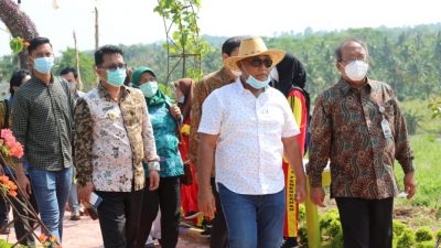 Bupati Lamsel Sambut Kunjungan Rektor ITERA