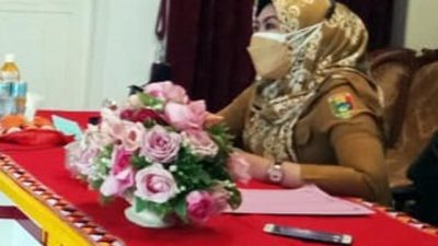 Tanggamus Zona Merah Covid-19, Ini yang Dilakukan Bupati Dewi Handajani