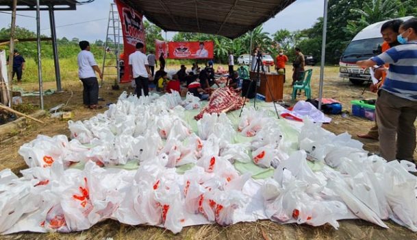 DPW PKS Lampung Potong 368 Hewan Kurban