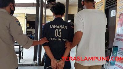 Perampas Ponsel di Pekon Penanggungan Tanggamus Dibekuk Polisi