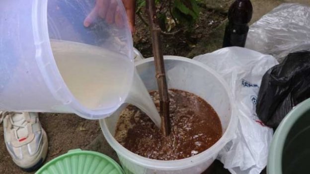 Pupuk cair organik yang dibuat dari limbah ikan mati di Danau Ranau Lumbok Seminung, Lampung Barat.