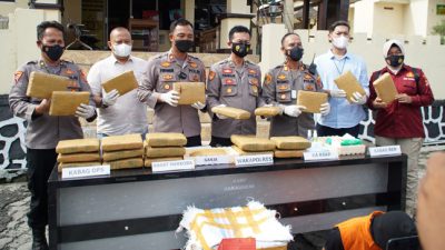 KSKP Bakauheni Gagalkan Penyelundupan 28 Kg Ganja