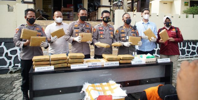KSKP Bakauheni Gagalkan Penyelundupan 28 Kg Ganja