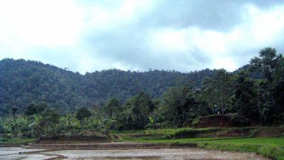 HKm Way Kanan jadi Objek Studi Banding Wakil 10 Provinsi