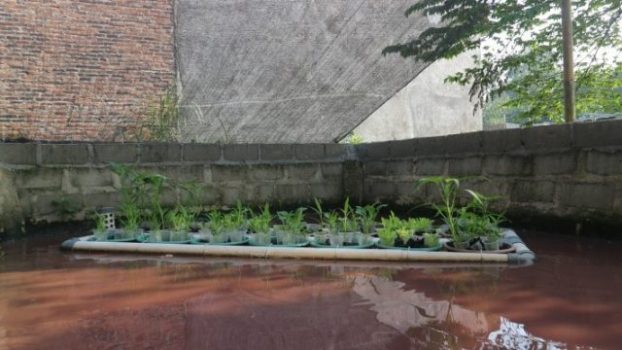 Dosen PiK FP Unila Lakukan Desiminasi Budidaya Ikan dan Sayuran dengan Sistem Akuaponik Rakit Apung