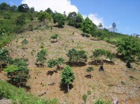 Kondisi Bukit Rigis di Lampung Barat yang rusak sebelum ada program HKm (Foto: dok Watala)