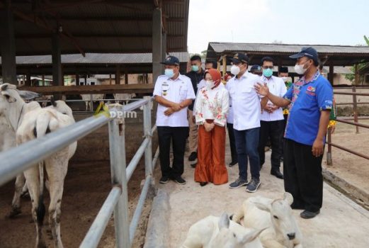 Mendes PDTT Apresiasi Manajemen Koperasi Produksi Ternak Desa Tanjung Sari Lampung Selatan