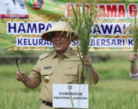 Pemprov Lampung akan Terima Penghargaan Abdi Bakti Tani dari Kementan