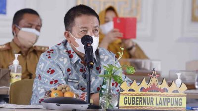 Gubernur Arinal Hadiri Puncak Peringatan Harganas Ke-28