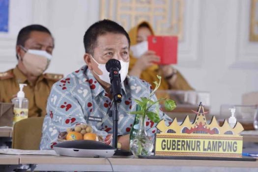 Gubernur Arinal Hadiri Puncak Peringatan Harganas Ke-28