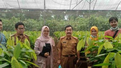 Kadis Perkebunan Lampung Melakukan Pembinaan dan Kunjungan ke PT Olam