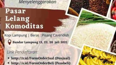 Disperindag Lampung akan Gelar Pasar Lelang Komoditas Pertanian-Perkebunan