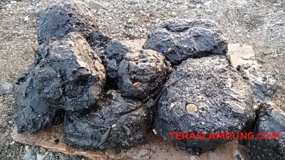 Pantai Kotaagung – Teluk Semaka Tercemar Limbah, Ini Kata DLH Tanggamus