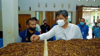 Kemenperin akan Optimalkan Penyerapan Tembakau Lokal