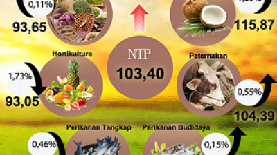 Nilai Tukar Petani di Lampung Naik 0,47 Persen pada September 2021