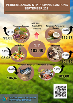 Nilai Tukar Petani di Lampung Naik 0,47 Persen pada September 2021