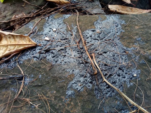 Pencemaran di Pantai Kunjir, Ini Kata Walhi Lampung