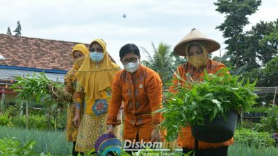 Pemkab Lamteng Berprestasi Level Nasional dan Provinsi
