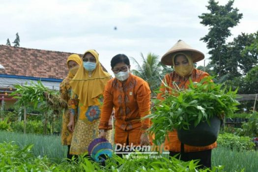 Pemkab Lamteng Berprestasi Level Nasional dan Provinsi