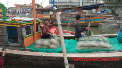 Rajungan Makin Langka, Nelayan Kecil di Muara Gading Mas Nyaris Tak Tersentuh Bantuan